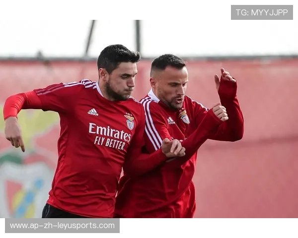 本菲卡瞄准南美签下“绿洲”——设立常年试训基地的背后玄机