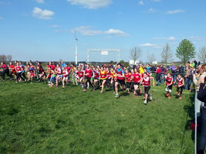 乐鱼体育平台登录-青少年体育社交平台互动行为研究，青少年体育文化