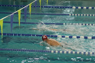 乐鱼体育app在线登录-张雨霏自由泳接力助队夺冠，张雨霏自由泳接力助队夺冠了吗